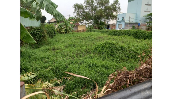 Cho thuê đất Vườn Lài P. An Phú Đông Quận 12